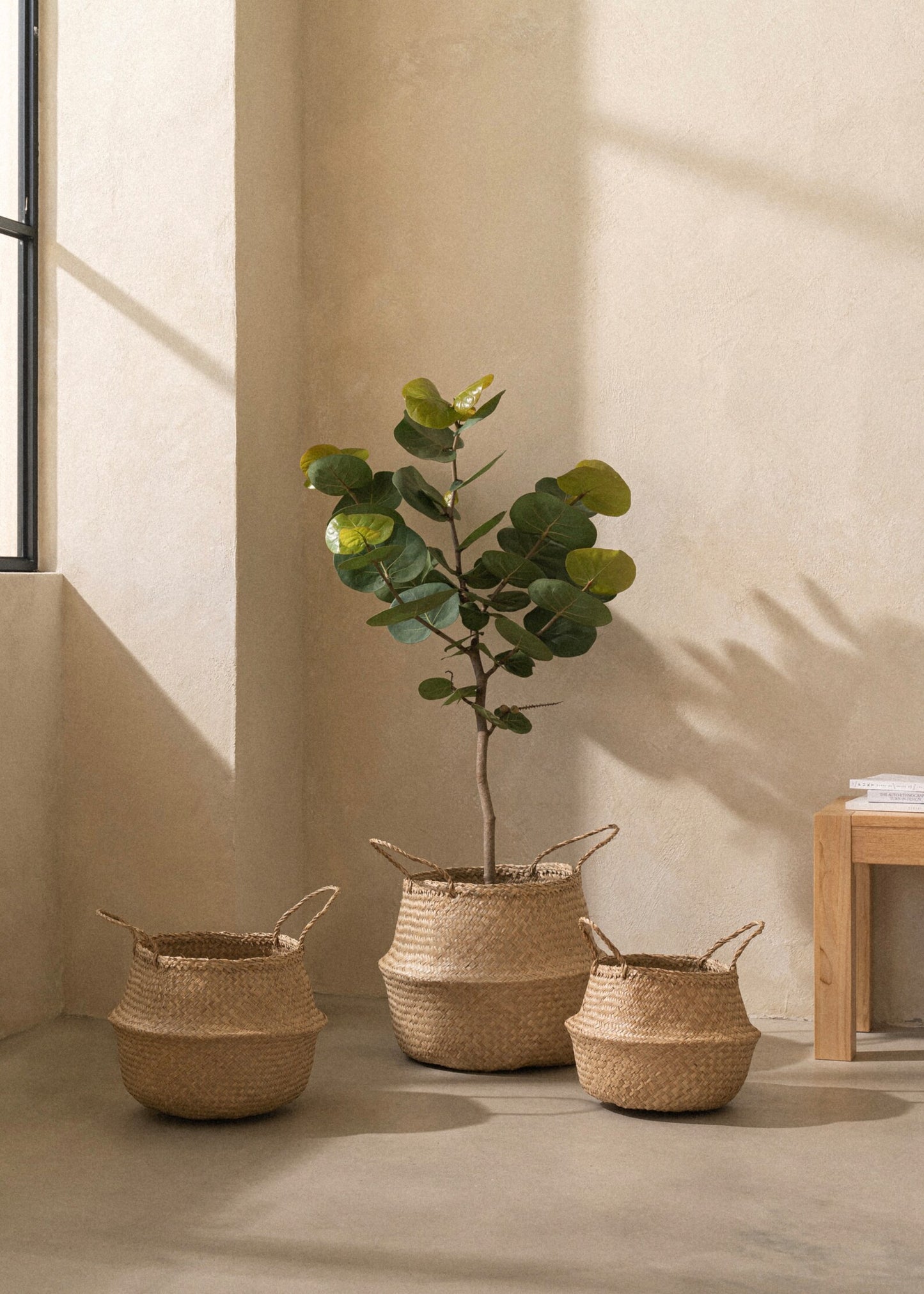 Foldable Seagrass Woven Storage Basket