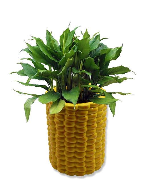 Giant Corn Planter